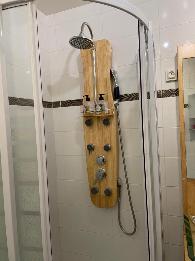 La Lumiere Du Lac Apartman Veyrier-du-Lac Kültér fotó